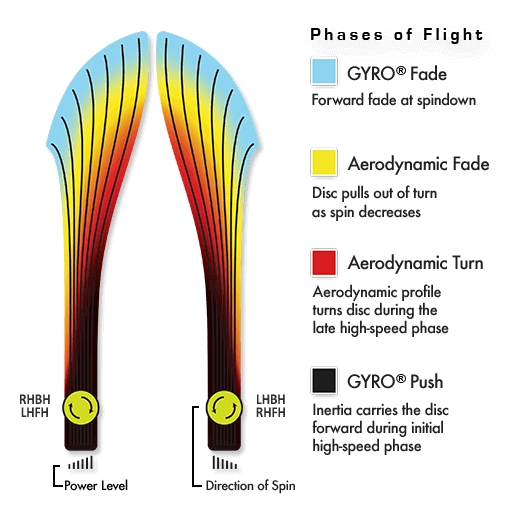 MVP Plasma Inertia