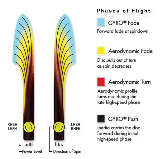 MVP Plasma Motion