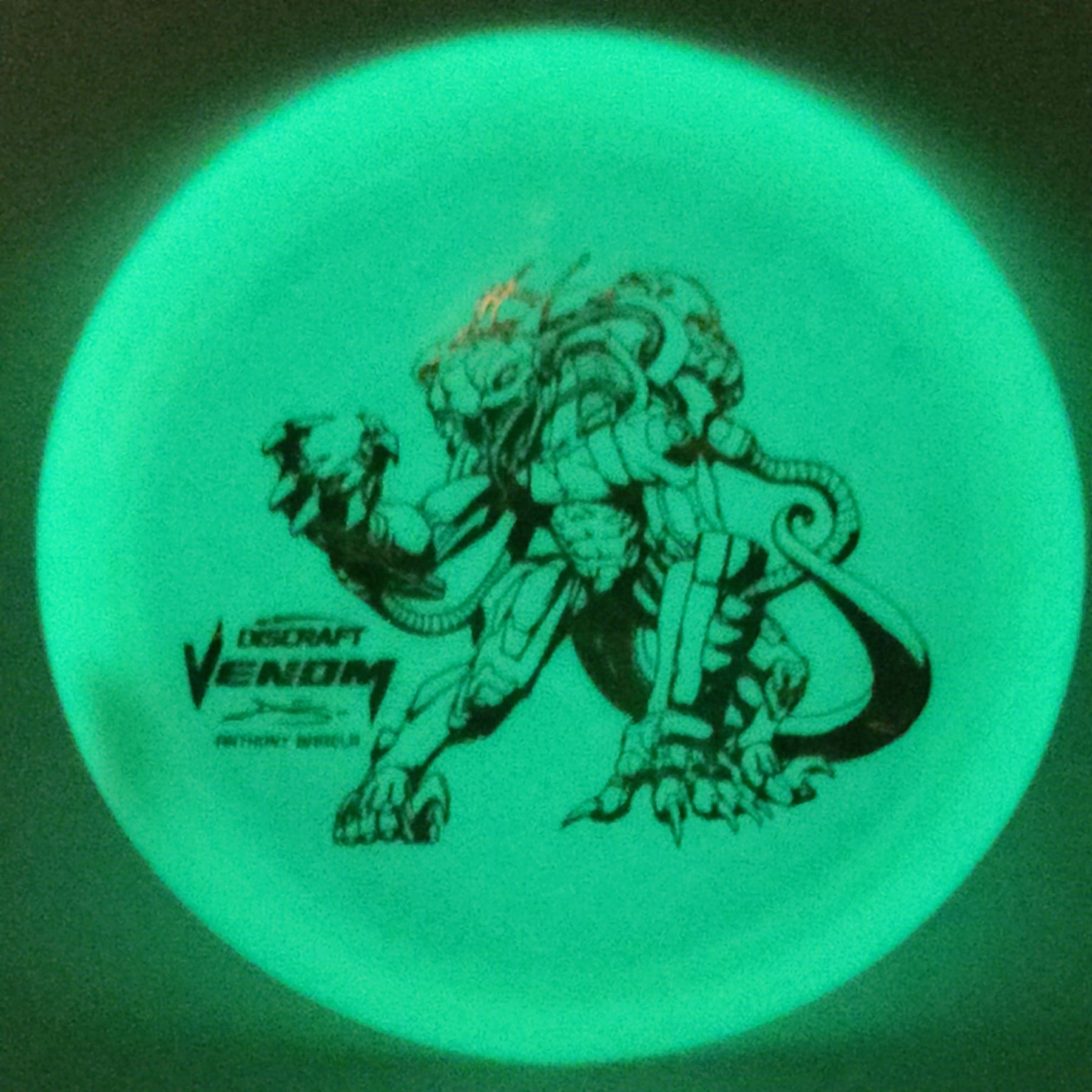 Discraft Venom - ESP Glo Anthony Barela